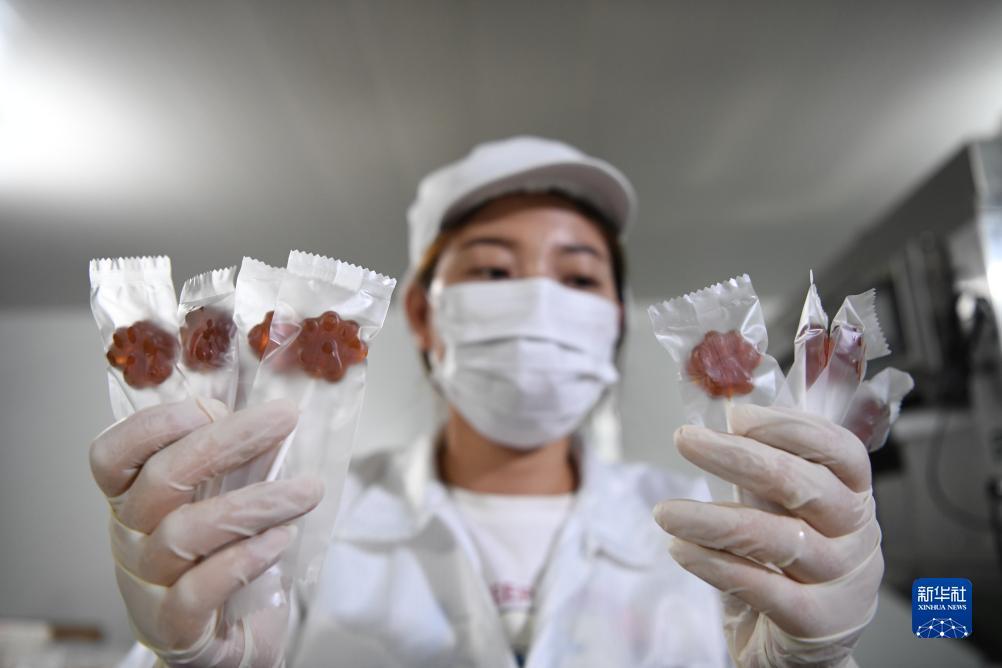 备用入口网址